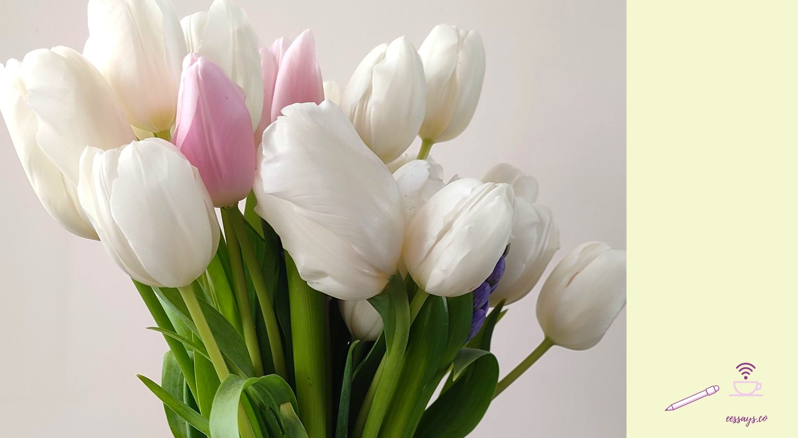 Effects of Colors on Productivity and 3 Ways to Add Colors to Your Home Office