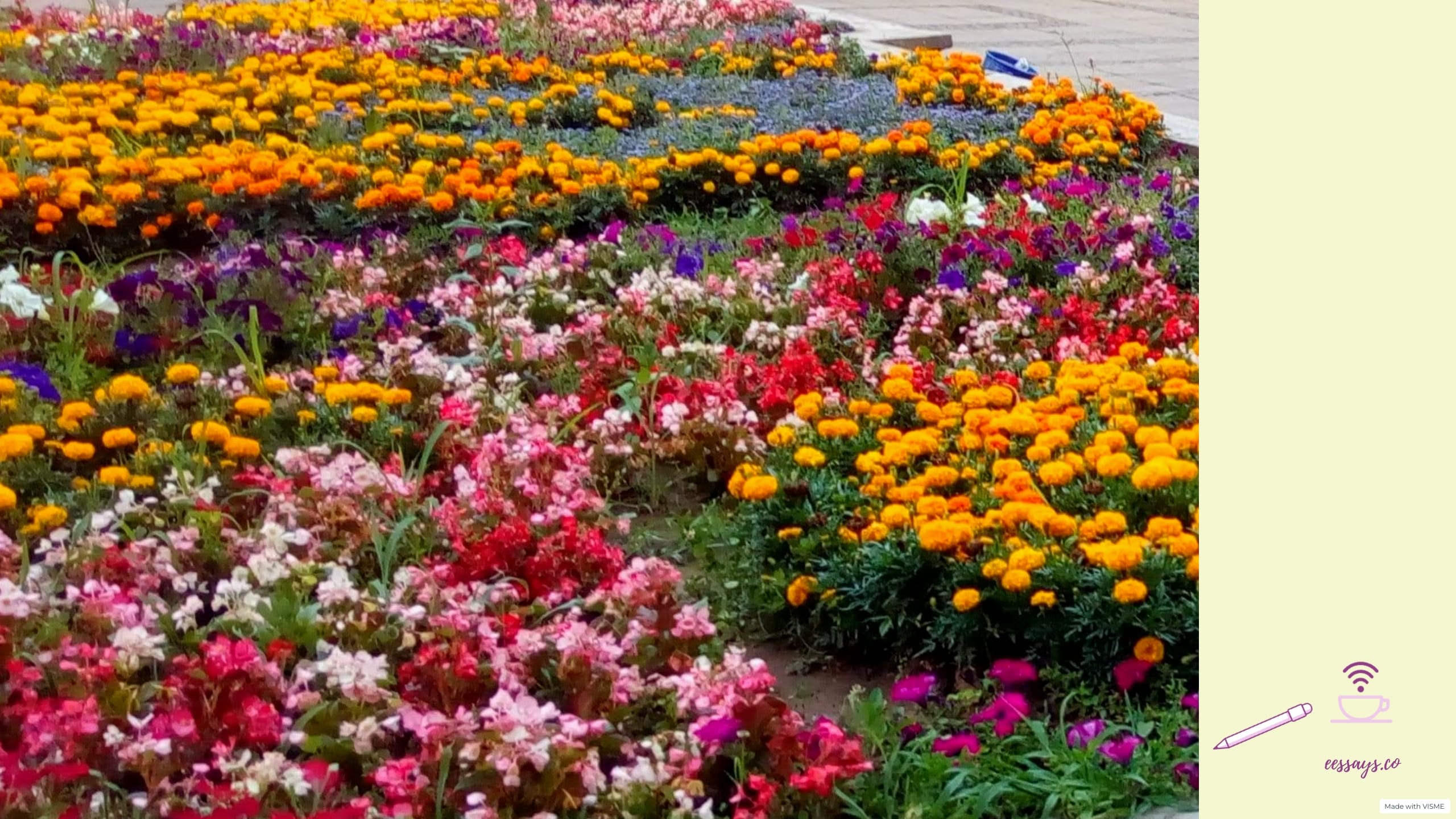 Switching Between Hobbies to Avoid Burnout: Benefit from the Power of Diversification