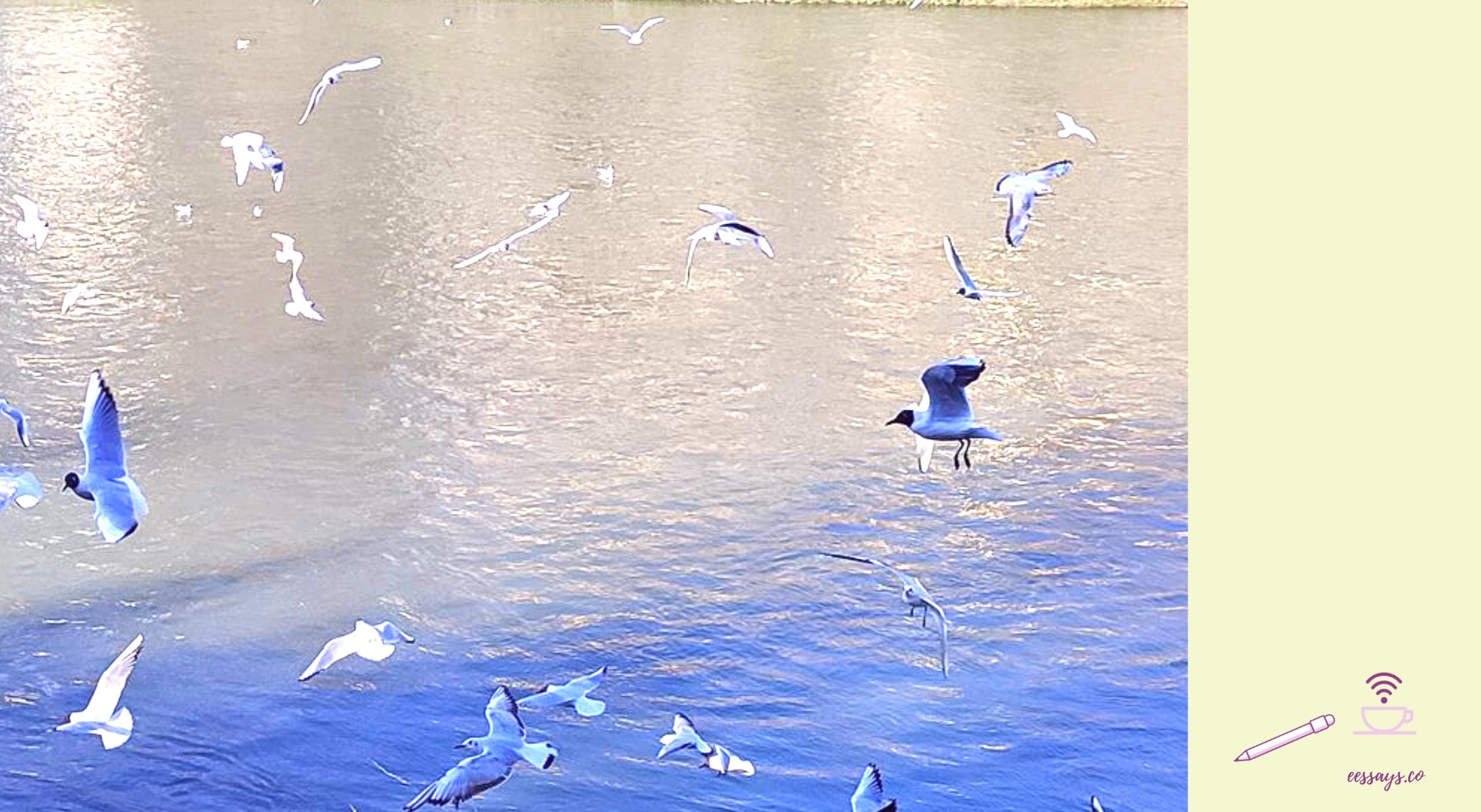 Time Management Worksheet: SMART Goals for Daily Planning