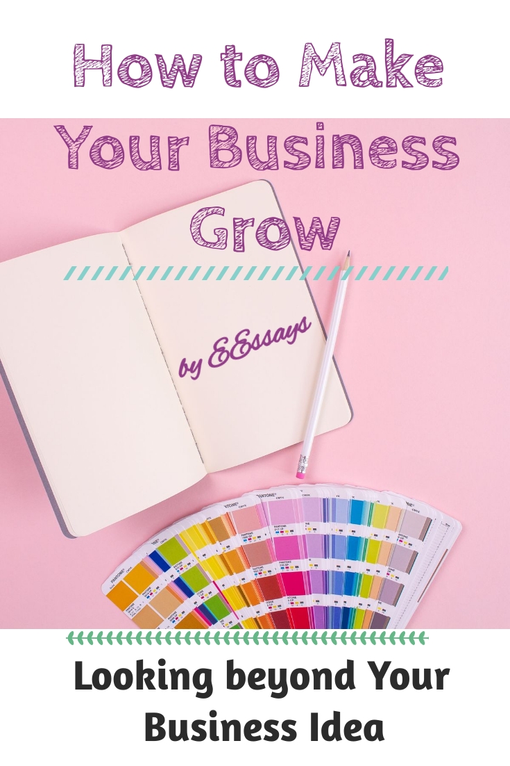 How to Make Business Grow: Looking beyond the Business Idea